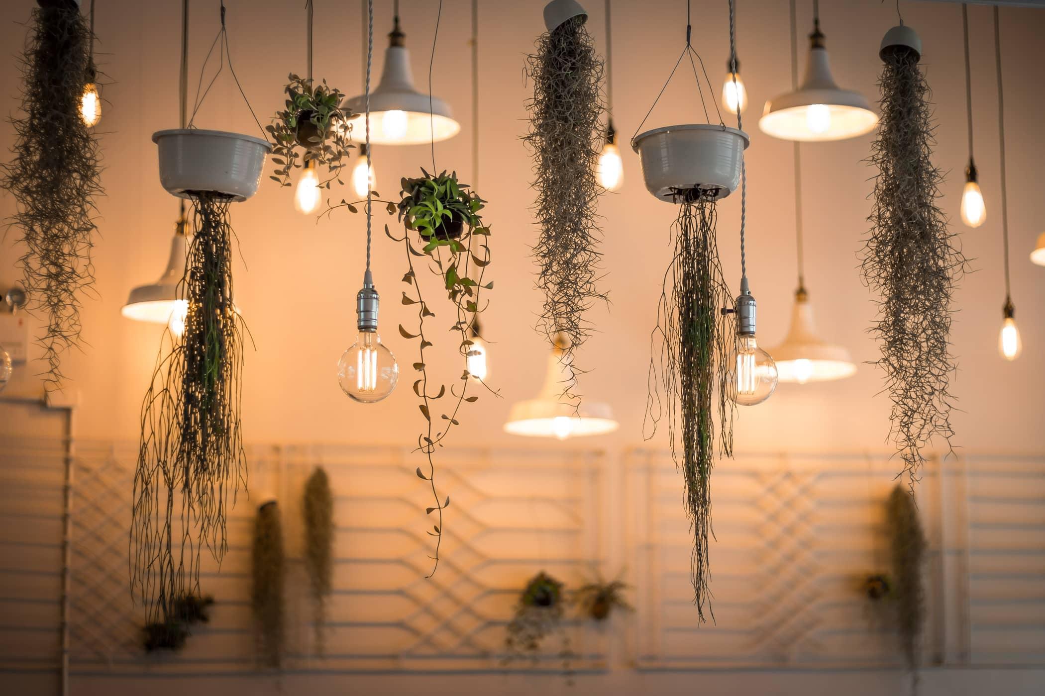 header-quirky-light-fixtures-min.jpg